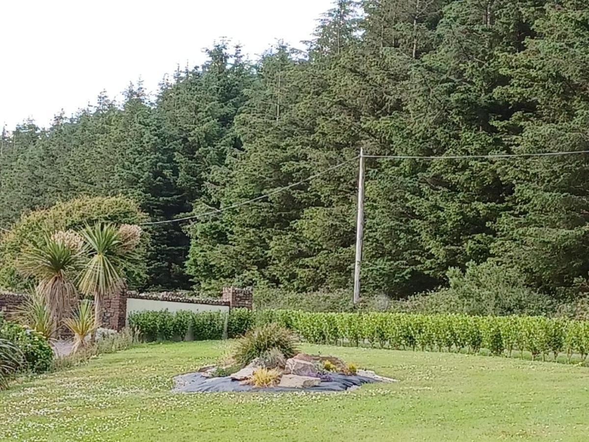 Ashburnum Cottage Bandon Kültér fotó
